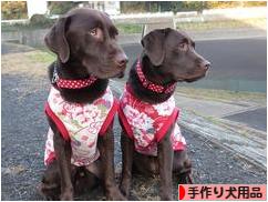 にほんブログ村 ハンドメイドブログ 手作り犬用品・グッズへ
