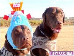 にほんブログ村 ハンドメイドブログ 手作り犬用品・グッズへ