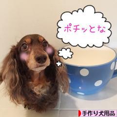 にほんブログ村 ハンドメイドブログ 手作り犬用品・グッズへ