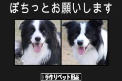 にほんブログ村 ハンドメイドブログ 手作りペット用品へ