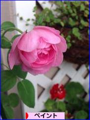 にほんブログ村 ハンドメイドブログ ペイント・トールペイントへ