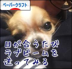 にほんブログ村 ハンドメイドブログ ペーパークラフトへ
