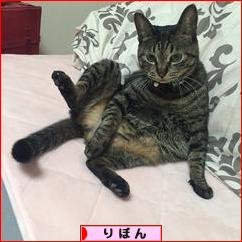 にほんブログ村 ハンドメイドブログ りぼんへ