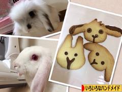 にほんブログ村 ハンドメイドブログ いろいろなハンドメイドへ