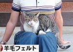 にほんブログ村 ハンドメイドブログ 羊毛フェルトへ
