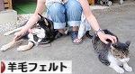 にほんブログ村 ハンドメイドブログ 羊毛フェルトへ