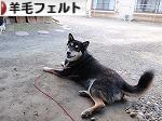にほんブログ村 ハンドメイドブログ 羊毛フェルトへ