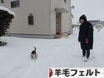 にほんブログ村 ハンドメイドブログ 羊毛フェルトへ