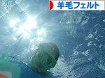 にほんブログ村 ハンドメイドブログ 羊毛フェルトへ