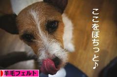 にほんブログ村 ハンドメイドブログ 羊毛フェルトへ