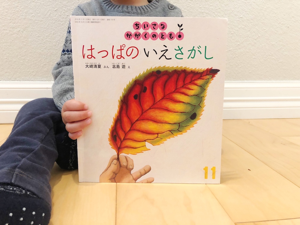 はっぱのいえさがし 自然や科学を取り入れたモンテッソーリ流お家遊び