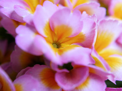 P1030935_r P1030935_r