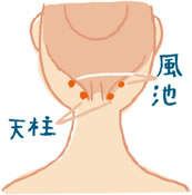 neck201205_image01-pc