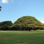 moanalua7