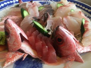 IMG_5610[1]