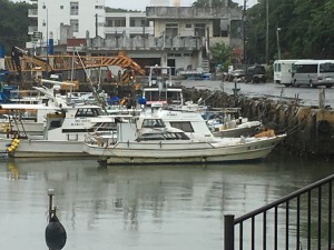 IMG_5621[1]