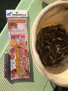 IMG_5674[1]