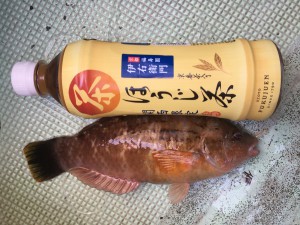 IMG_5742[1]