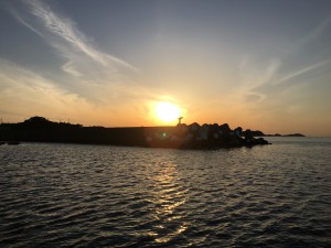 IMG_6138[1]
