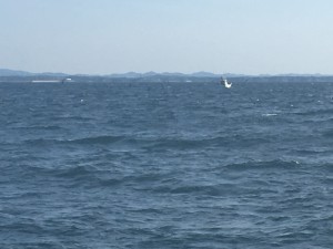 IMG_6160[1]