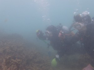 P4156655
