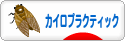 にほんブログ村 健康ブログ カイロプラクティックへ