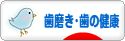 にほんブログ村 健康ブログ 歯磨き・歯の健康へ
