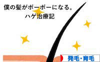 にほんブログ村 健康ブログ 発毛・育毛へ