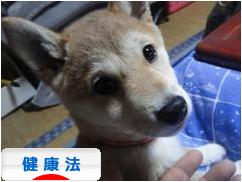 にほんブログ村 健康ブログ 健康法へ