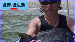 にほんブログ村 健康ブログ 食育・食生活へ