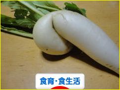 にほんブログ村 健康ブログ 食育・食生活へ