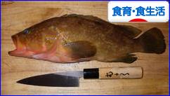 にほんブログ村 健康ブログ 食育・食生活へ
