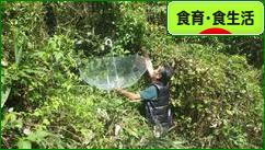 にほんブログ村 健康ブログ 食育・食生活へ