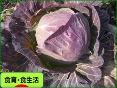 にほんブログ村 健康ブログ 食育・食生活へ