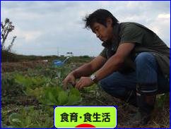 にほんブログ村 健康ブログ 食育・食生活へ