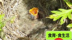 にほんブログ村 健康ブログ 食育・食生活へ