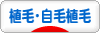 にほんブログ村 健康ブログ 植毛・自毛植毛へ