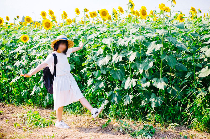 夏季限定 都内最大級 50万輪のひまわり畑 今しか見れない夏の絶景 ひまわり畑で恋活ツアーコン アクティブ系婚活イベントのハートカフェ 開催レポート大公開