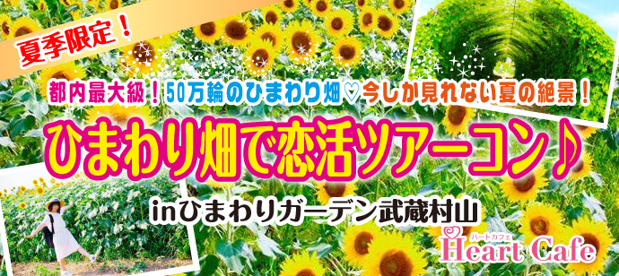 夏季限定 都内最大級 50万輪のひまわり畑 今しか見れない夏の絶景 ひまわり畑で恋活ツアーコン アクティブ系婚活イベントのハートカフェ 開催レポート大公開