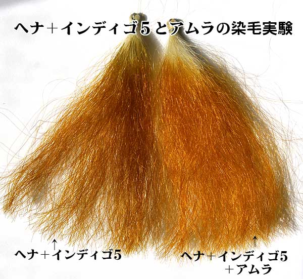 アムラやレモン 酸 はヘナやインディゴの染まりを濃くする 薄くする ヘナ遊で手作りヘアケア ハーブシャンプー白髪染め