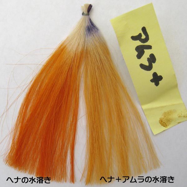 アムラやレモン 酸 はヘナやインディゴの染まりを濃くする 薄くする ヘナ遊で手作りヘアケア ハーブシャンプー白髪染め