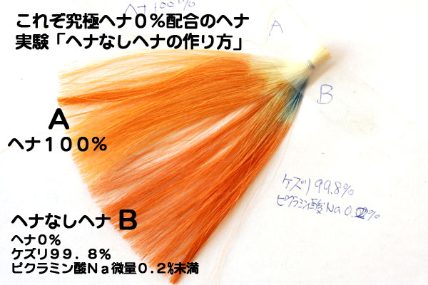 早く短時間で濃く染まるヘナ ヘナ遊で手作りヘアケア ハーブシャンプー白髪染め