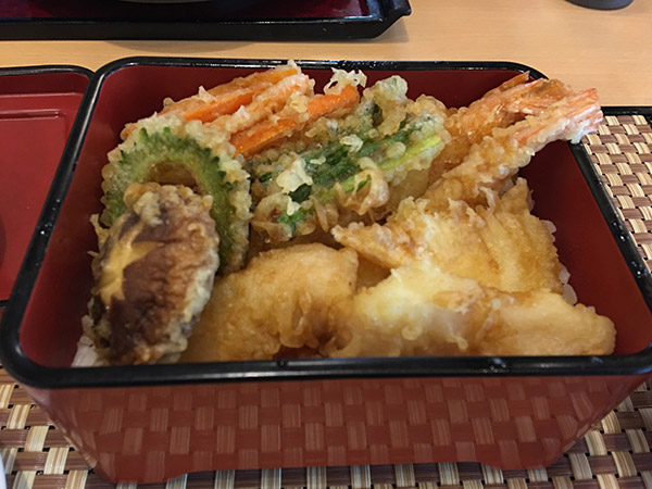 tendon