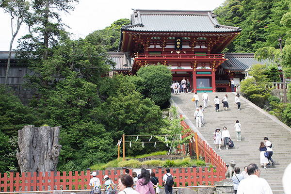 tsuru