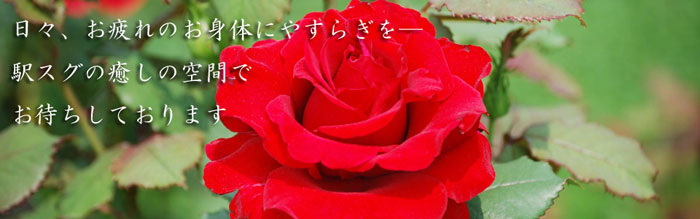 布施駅前 マッサージ 整体 足つぼ リラクゼーション 薔薇