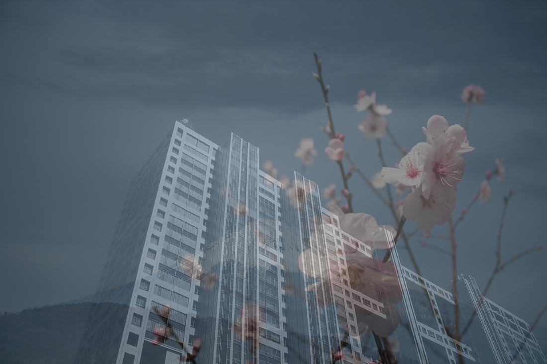 スキンデザインのテストブログです。