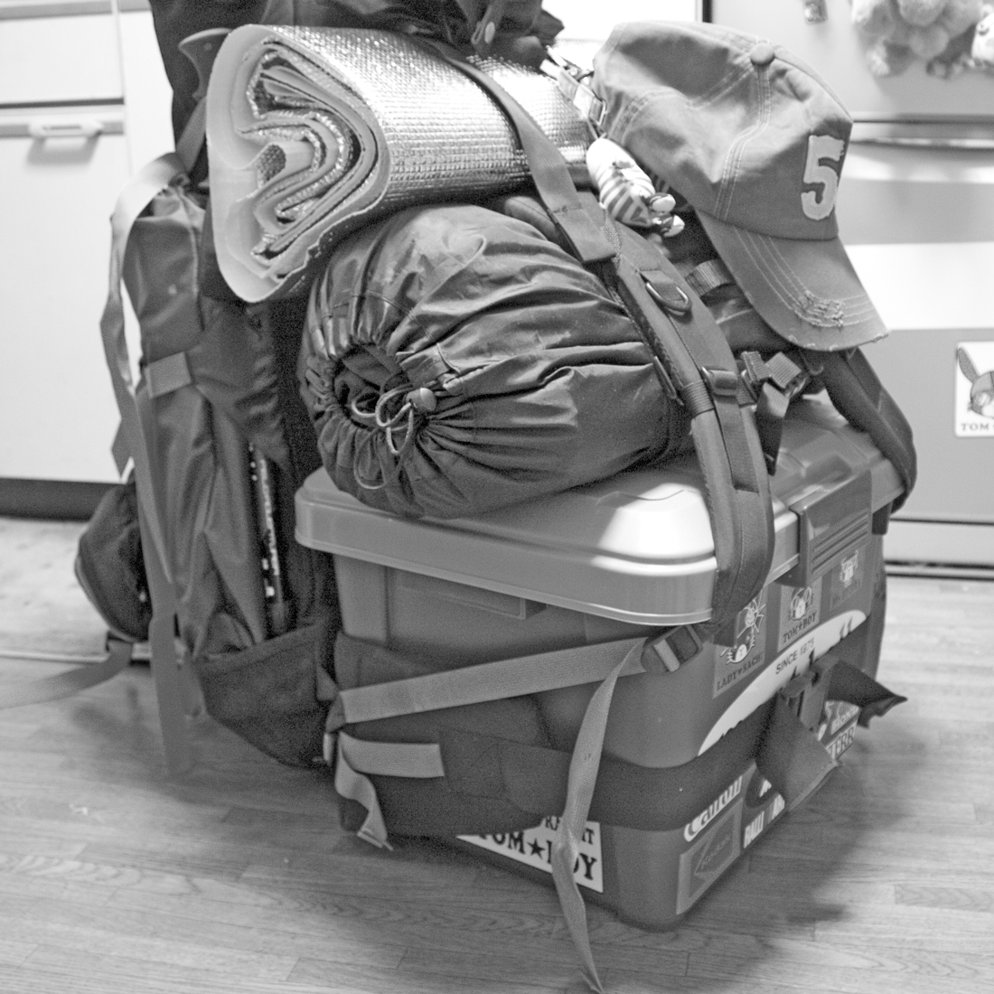 $スキンデザインのテストブログです。