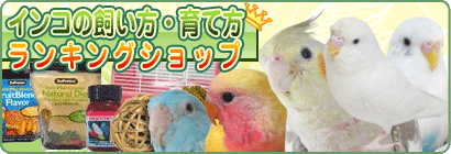 10年インコカレンダー デスクトップ壁紙 配布開始しました セキセイインコアルの精巣腫瘍闘病日記 オカメインコ レキ マメルリハレンリ セキセイインコレティ コザクラインコレイ マメルリハレミィ