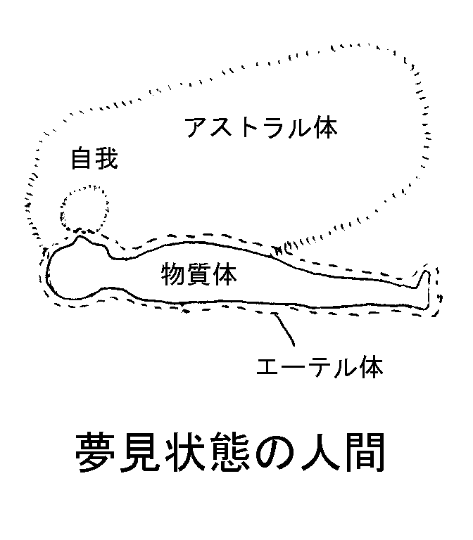 夢見状態の人間