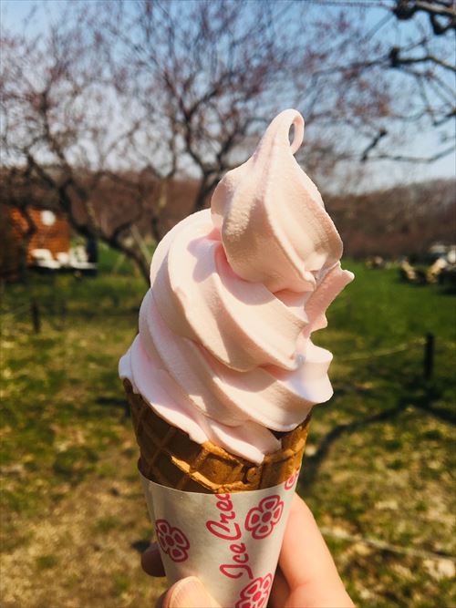 ひらおか梅まつり名物「梅ソフトクリーム」